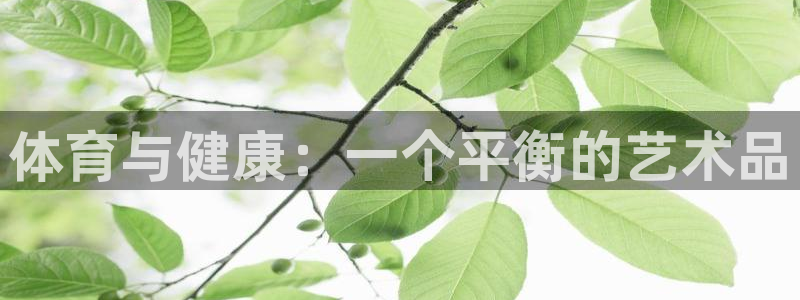 关键词：体育与健康：一个平衡的艺术品