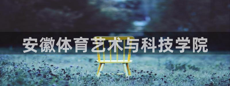 关键词：安徽体育艺术与科技学院