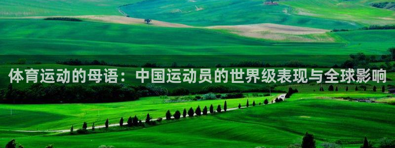 关键词：体育运动的母语：中国运动员的世界级表现与全球影响