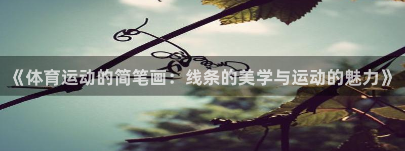关键词：《体育运动的简笔画：线条的美学与运动的魅力》