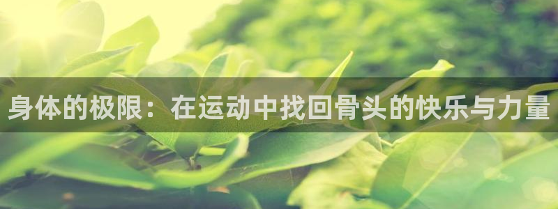 关键词