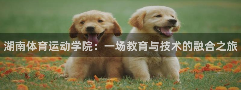 64体育：湖南体育运动学院：一场教育与技术的融合之旅